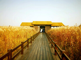 浙江宁波杭州湾国家湿地