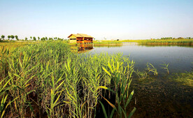 浙江宁波杭州湾国家湿地