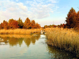 浙江宁波杭州湾国家湿地