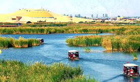 宁夏沙湖湿地