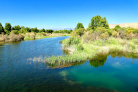 青海贵德黄河清湿地