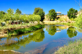 青海贵德黄河清湿地