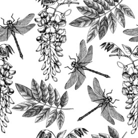 黑白手绘花蜻蜓