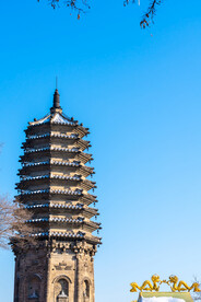 辽宁抚顺高尔山辽代古塔远景