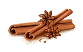 肉桂棒和八角插画