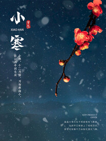 小寒海报