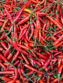 辣椒