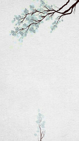 中国风松枝背景