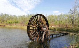 安徽合肥滨湖湿地公