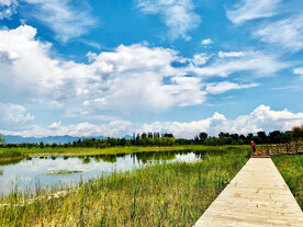 北京野鸭湖湿地公园