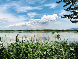 北京野鸭湖湿地公园