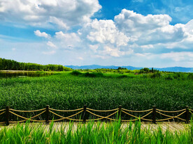 北京野鸭湖湿地公园