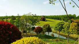 安徽合肥滨湖湿地公园