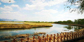 北京野鸭湖湿地公园