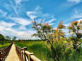 北京野鸭湖湿地公园