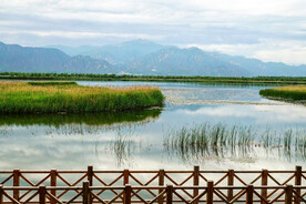 北京野鸭湖湿地公园