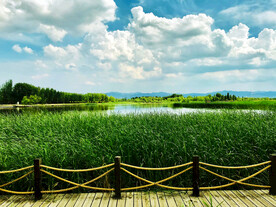 北京野鸭湖湿地公园
