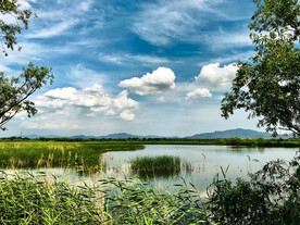 北京野鸭湖湿地公园
