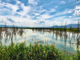 北京野鸭湖湿地公园