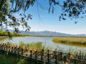北京野鸭湖湿地公园2