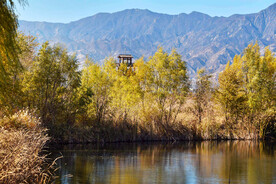 北京野鸭湖湿地公园