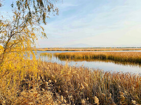 北京野鸭湖湿地公园