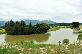 福建闽江河口湿地