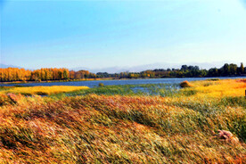 北京野鸭湖湿地公园