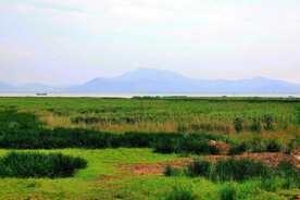 福建闽江河口湿地