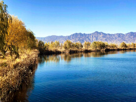 北京野鸭湖湿地公园