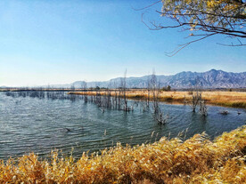 北京野鸭湖湿地公园