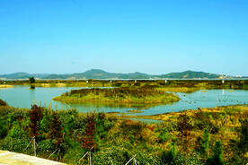 福建闽江河口湿地