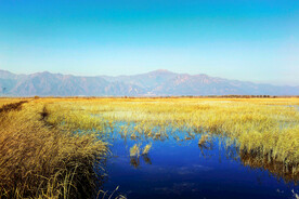 北京野鸭湖湿地公园