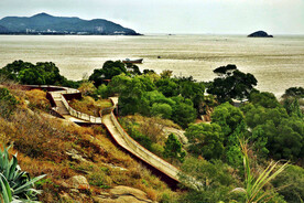 福建闽江河口湿地