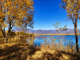 北京野鸭湖湿地公园