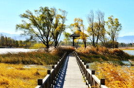 北京野鸭湖湿地公园