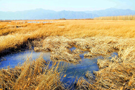 北京野鸭湖湿地公园