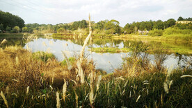 福建长汀汀江国家湿地公园