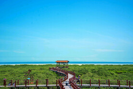 广西北海金海湾红树林