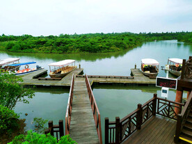 海南东寨港红树林湿地