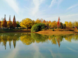 河南平顶山白龟湖湿地公园