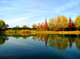 河南平顶山白龟湖湿地公园