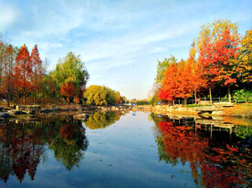 河南平顶山白龟湖湿地公园