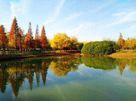 河南平顶山白龟湖湿地公园