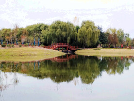 河南平顶山白龟湖湿地公园