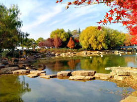 河南平顶山白龟湖湿地公园