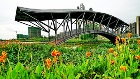 广东珠海黄杨河湿地公园