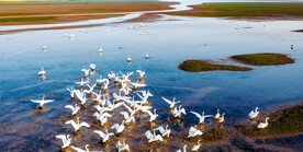 江西鄱阳湖湿地公园