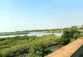 广西北海金海湾红树林