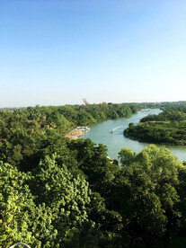 海南东寨港红树林湿地